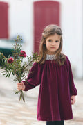 Velvet Dress