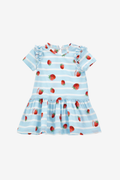 Strawberry Striped Dress