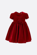 Floral velvet dress
