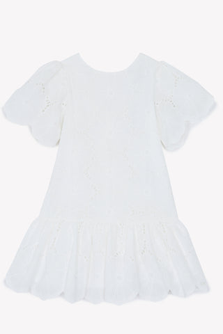 Lace Summer Dress